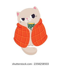 Funny Autumn Grumpy Cat Wrapped in Red Blanket Drink Hot Tea Vector Illustration