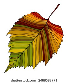 Hojas de otoño divertidas garabato, hoja amarilla y roja, arce de temporada de otoño y hojas de roble que caen. Formas de hojas de árbol dibujadas a mano aisladas para la educación infantil o concepto de otoño. Contorno negro de hojas con venas.