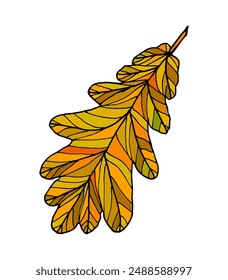 Funny autumn leaves doodle, yellow and red leaf, fall season maple and oak falling leaves. Hand drawn tree leaf shapes isolated for kid education or fall concept. Black outline of leaves with veins.