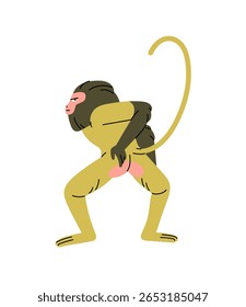 Funny baboon stands and scratches its ass with hand back view. Cute monkey with suspicious emotion on face. Jungle primate, wild animal of tropical forest. Flat isolated vector illustration on white