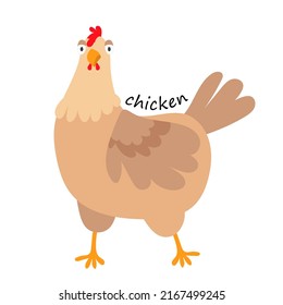 
funny baby chicken vector illustration