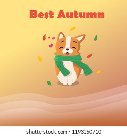 Funny baby Corgi loves autumn, he wore his favorite green scarf, he is warm and he is happy! vector Corgi