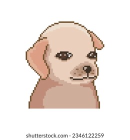 Funny baby dog, pixel art meme