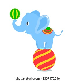 Funny baby elephant performs in the circus tent. flat vector illustration isolated on white background