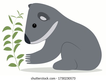 Funny baby Koala with a branch of eucalyptus. Isolated vector image on a white background. Flat style.