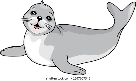 Funny baby seal. Vector