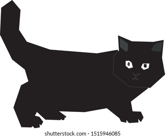the funny balck cat in the outside