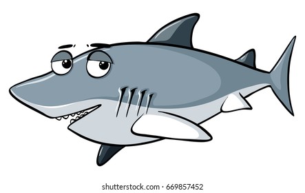 Funny bamboozle shark on white