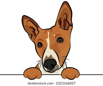 Funny Basenji dog with paws in a pocket,  vector illustration. Funny dog smiling. Cute dog head on a white background, isolated logo. Hand-drawn mascot. Funny dog muzzle over a white wall. BFF. 