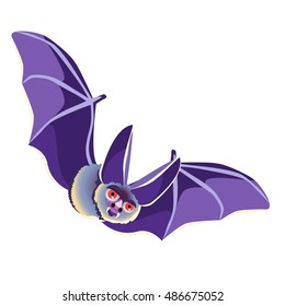 Funny bat isolated on white background. Vector cartoon close-up illustration.
