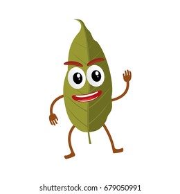 Funny bay leaf character, cartoon vector illustration isolated on white background. Humanized bay leaf with smiling faces, arms and legs. Bay leaf for farm market, vegetarian salad recipe design.
