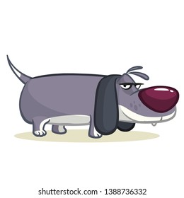Funny beagle dog cartoon illustration