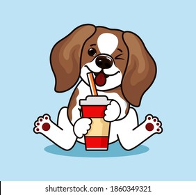 Funny Beagle Dog. Cute beagle dog standing and looking up. Lovely cool puppy.