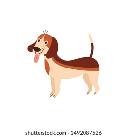 Funny beagle dog with tongue sticking out cartoon flat vector illustration isolated on white background. Puppy pet character for prints on children's t-shirts and items.