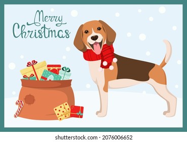 Funny beagle with gifts. Christmas card. Cartoon style.
