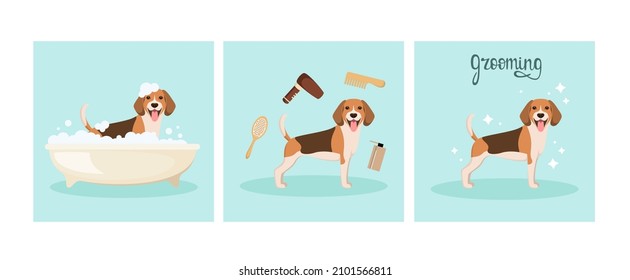 El baño está decorado con beagle divertidos. Un conjunto de ilustraciones. Crecer. Diseño de caricaturas.
