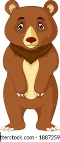 funny bear cartoon vector posing 