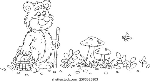 Funny bear mushroomer with a wicker basket walking through a summer forest glade and picking mushrooms among grass and branches, black and white outline vector cartoon illustration for a coloring book