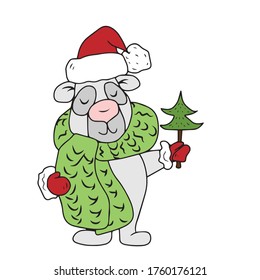 A funny bear in a red hat and a green scarf holds a Christmas tree, drawn children's, cartoon, vector illustrations isolated on a white background.