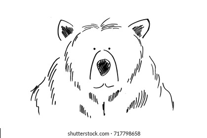 funny bear sketch vector, cartoon or comic art drawing of a wild animal character that is silly and fun, hand drawn in ink on white background