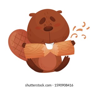 Funny Beaver Gnawing Log with His Front Teeth Vector Illustration