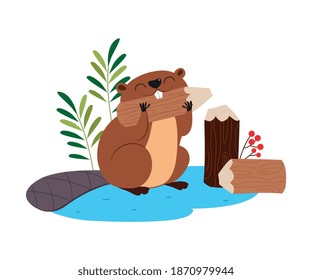 Funny Beaver Rodent as Forest Animal Gnawing WoodVector Illustration