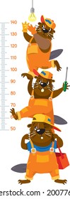 Funny beavers meter wall or height chart