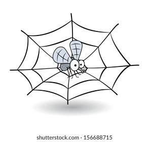 funny bee stucked in spider web