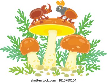 Funny beetles on big edible mushrooms with brown caps hiding among green grass in a forest, vector cartoon illustration on a white background