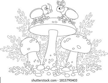 Funny beetles on wild edible mushrooms with big caps hiding among grass in a forest, black and white outline vector cartoon illustration for a coloring book page