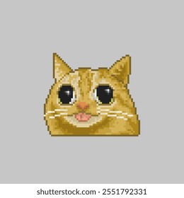 Divertido gato de ojos grandes, pixel art meme