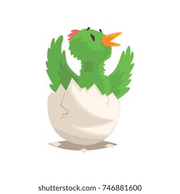 Funny bird baby hatching from egg