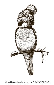 Funny bird bullfinch in cap on white background. Sketch drawing