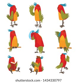 Funny Bird Cartoon Character in Different Situations Set, Cute Birdie with Bright Colorful Feathers and Tuft Vector Illustration