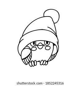funny bird in hat on the white background