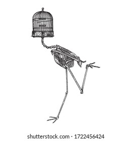 Funny Bird Skeleton Black And White Vector Illustration