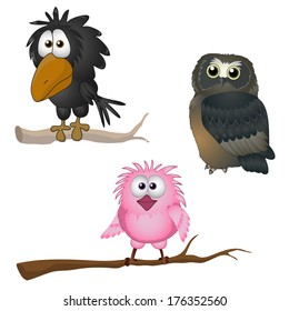 Funny Bird. Vector Illustration. Owl. Crow. Sparrow