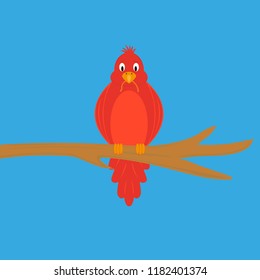funny bird with a worm 