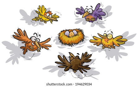 Funny Birds around a nest.