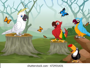 funny birds cartoon with deep forest landscape background