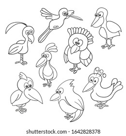 Funny Birds collection - coloring book on white