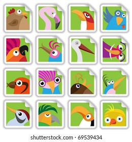 Funny birds set (Vector Illustration for web design)