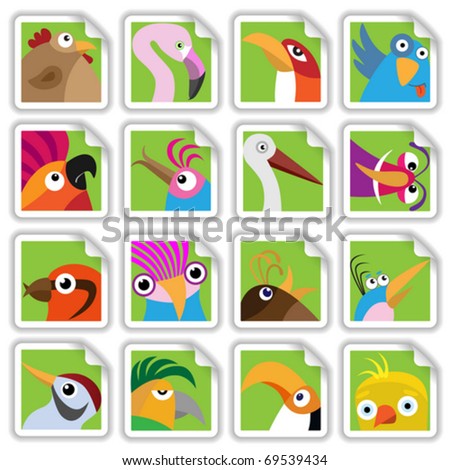 Funny birds set (Vector Illustration for web design)