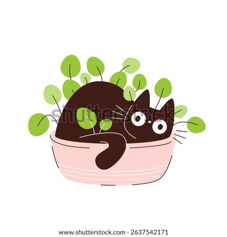 Funny black cat hiding in a flower pot. Pets and potted plants in pots