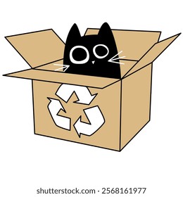 Funny black cat inside a cardboard box with recycling symbol