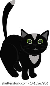 Funny black cat isolated flat vector image