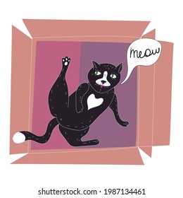 Funny black cat licks itself in a cardboard box. Animal pet character cartoon style line illustration isolated 