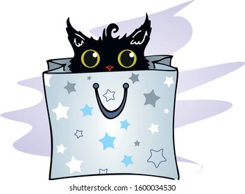 The funny black cat in package - the best present for everyday! 