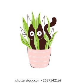   Funny black cat sitting in a pot hiding behind a leaf. Pets and potted plants in pots