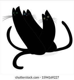 funny black cats with multi-colored eyes drawn in vector